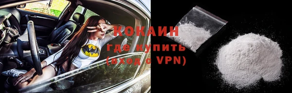 дмт Дмитров