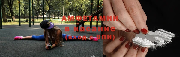 дмт Дмитров