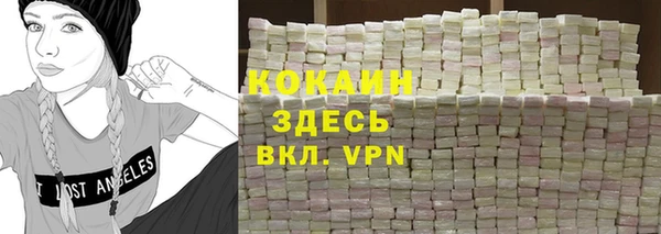 дмт Дмитров