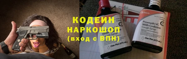 дмт Дмитров