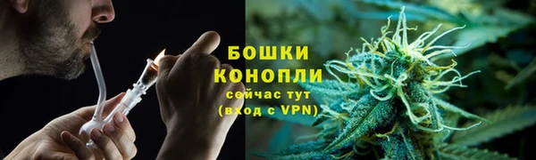 дмт Дмитров