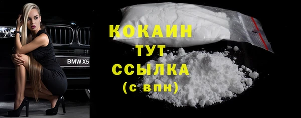 дмт Дмитров
