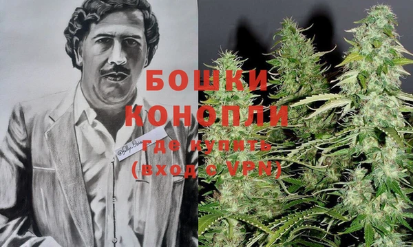 дмт Дмитров