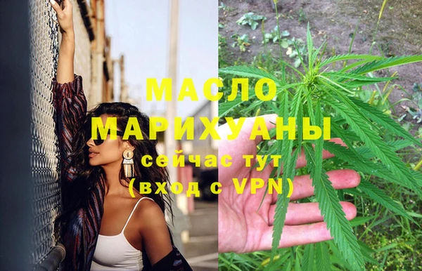 тгк Дмитриев