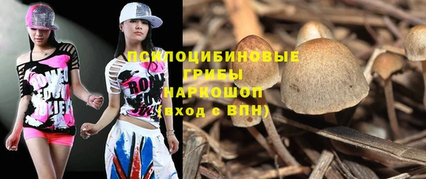 тгк Дмитриев