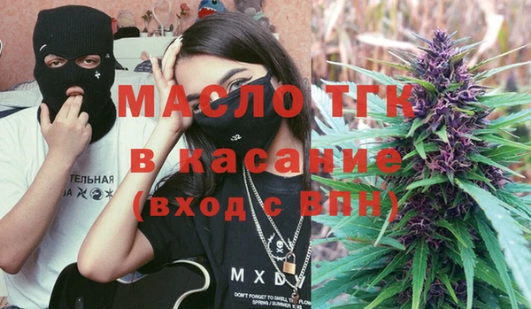 тгк Дмитриев