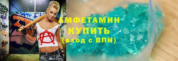 тгк Дмитриев