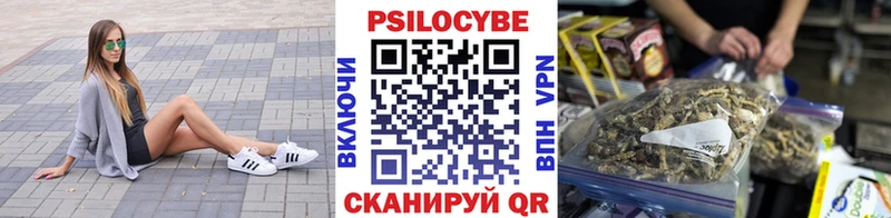 Галлюциногенные грибы Cubensis  Купить закладки  Кудымкар 